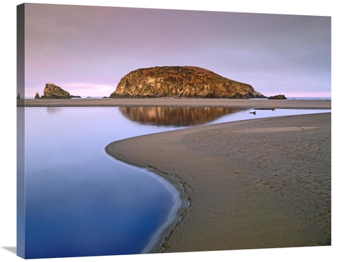 Global Gallery GCS-395991-2835-142 28 x 35 in. Harris Beach State Park