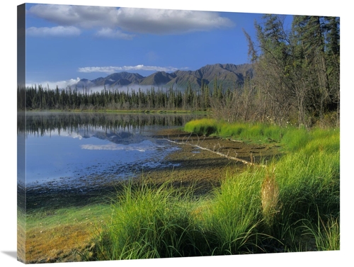 Global Gallery GCS-396818-2835-142 28 x 35 in. Nutzotin Mountains & Bo