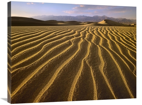 Global Gallery GCS-452222-2432-142 24 x 32 in. Sand Dunes, Death V