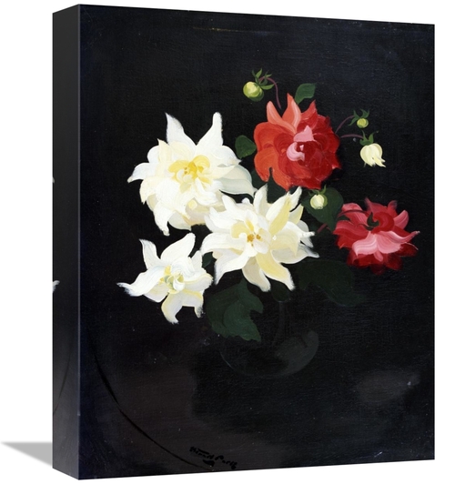 Global Gallery GCS-266981-16-142 16 in. Red & White Dahlias Art Print 