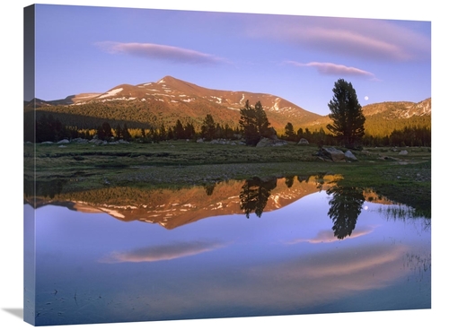 Global Gallery GCS-396656-2432-142 24 x 32 in. Mount Dana Reflected in