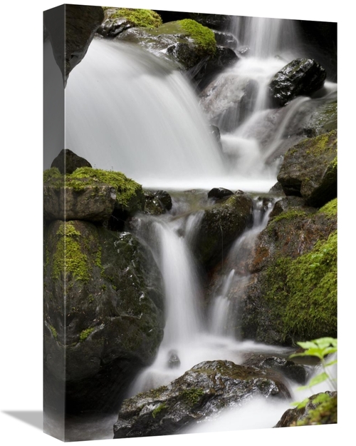 Global Gallery GCS-395440-1218-142 12 x 18 in. Cascading Creek in Temp