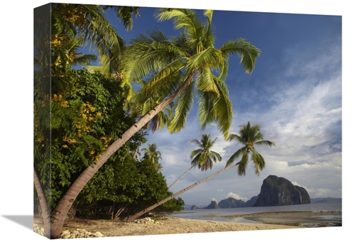 Global Gallery GCS-396396-1216-142 12 x 16 in. Palm Trees, Pinagbu