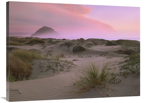 Global Gallery GCS-396024-3040-142 30 x 40 in. Morro Rock at Morro Bay