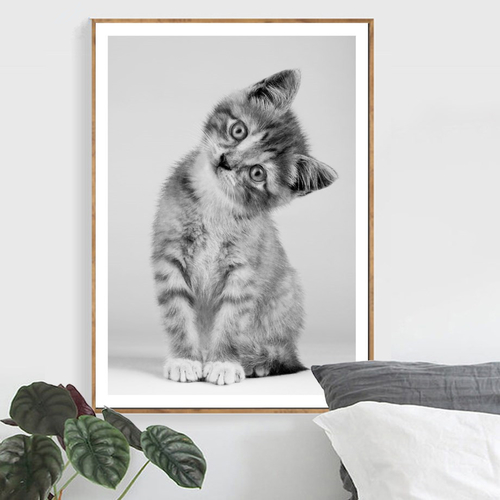 Cute Cat Wall Art Canvas Painting Posters