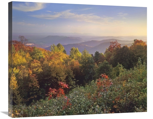 Global Gallery GCS-397040-30-142 30 in. Deciduous Forest in Autumn&#44