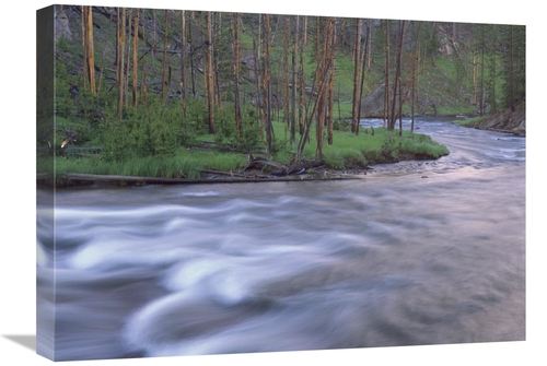 Global Gallery GCS-397072-1824-142 18 x 24 in. Gibbon River Rapids Pop