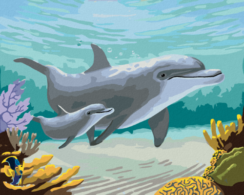 Paint by Numbers - DOLPHINS AND CORALS (ROBERT JOHNSON)