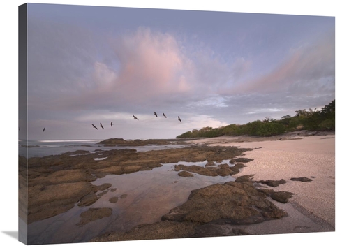 Global Gallery GCS-396360-2432-142 24 x 32 in. Pelicans Over Playa Lan