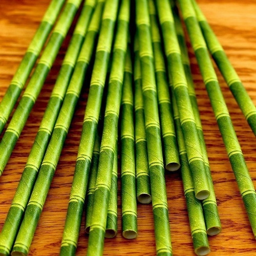 Bamboo Paper Straws