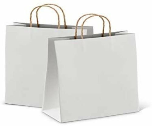 White Shopping Bags Bulk Pack of 25 Large Paper Bags 10 x 5 x 13 Kraft