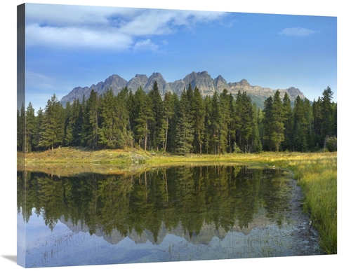 Global Gallery GCS-397195-2835-142 28 x 35 in. Yellowhead Mountain & Y