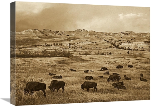 Global Gallery GCS-453690-1824-142 18 x 24 in. American Bison Herd Gra