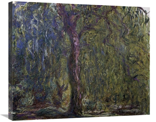 Global Gallery GCS-278747-30-142 30 in. Weeping Willow - Saule pleureu