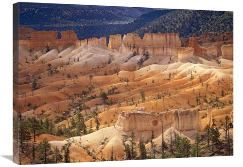 Global Gallery GCS-397080-2432-142 24 x 32 in. Landscape of Eroded For