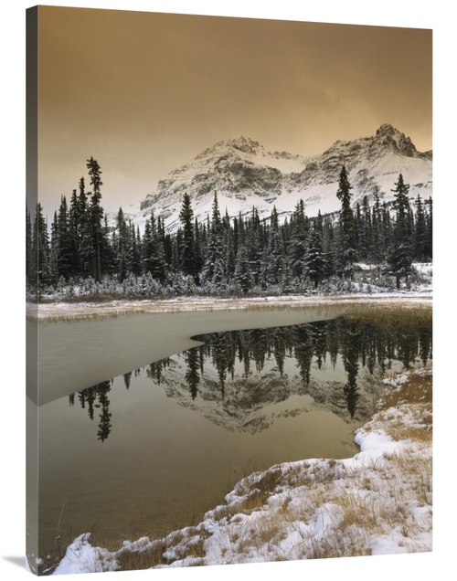 Global Gallery GCS-396921-3040-142 30 x 40 in. Canadian Rocky Mountain