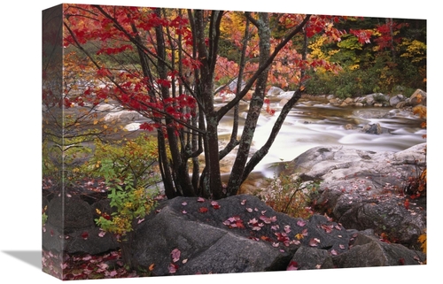 Global Gallery GCS-452022-1216-142 12 x 16 in. The Swift River, Wh