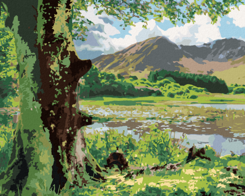 Paint by Numbers - NATURE AND MOUNTAINS, IRELAND(TED DAVIS)