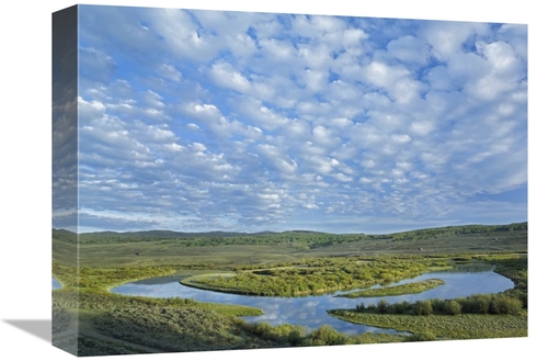Global Gallery GCS-452196-1216-142 12 x 16 in. The Green River, Br