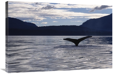 Global Gallery GCS-450806-2436-142 24 x 36 in. Humpback Whale Tail At 