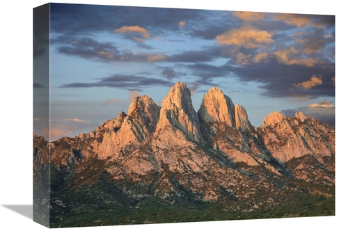 Global Gallery GCS-396178-1216-142 12 x 16 in. Organ Mountains Near La