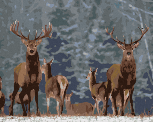 Paint by Numbers - NOBLE DEER