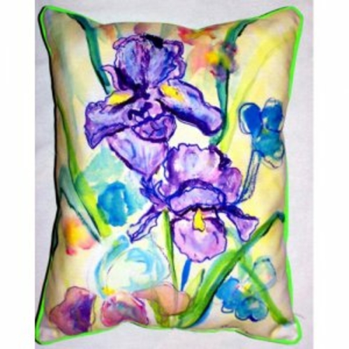 Betsy Drake ZP942 Two Irises Indoor & Outdoor Throw Pillow- 20 x 24 in