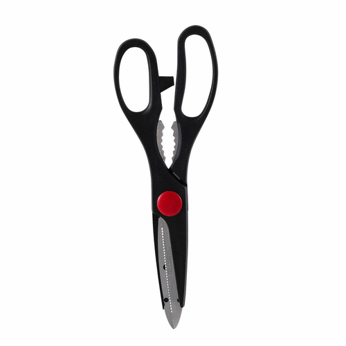 Scissors San Ignacio Expert