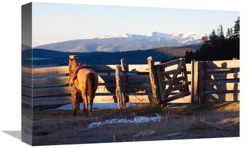 Global Gallery GCS-453851-1218-142 12 x 18 in. Splendor in the Valle V