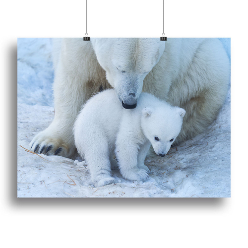Polar bear Mother Canvas Print or Poster