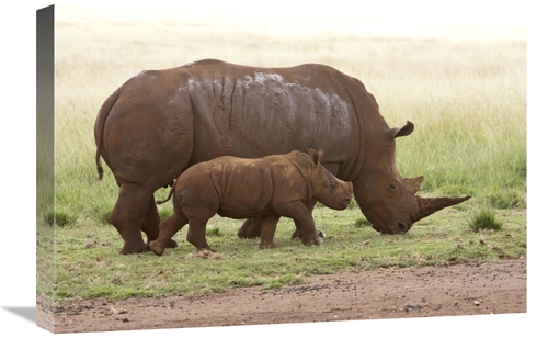 Global Gallery GCS-395480-1624-142 16 x 24 in. White Rhinoceros Mother