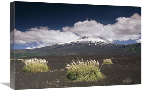 Global Gallery GCS-452899-1624-142 16 x 24 in. Pampas Grass Islands in