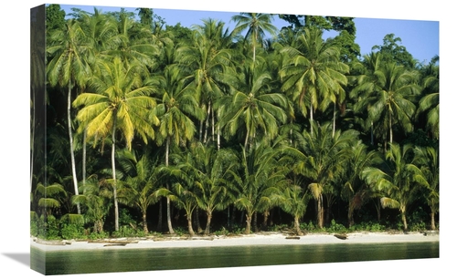 Global Gallery GCS-452341-1624-142 16 x 24 in. Palm Trees Along White 