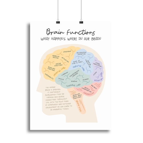 Brain Functions Canvas Print or Poster