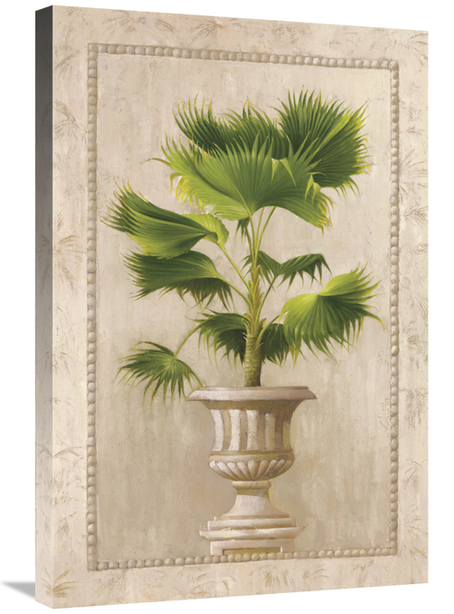 Global Gallery GCS-119338-2030-142 20 x 30 in. Key West Palm II Art Pr