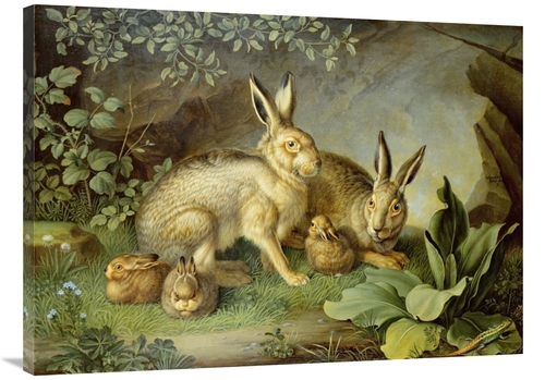 Global Gallery GCS-267009-40-142 40 in. Hares & Leverets in a Rocky La