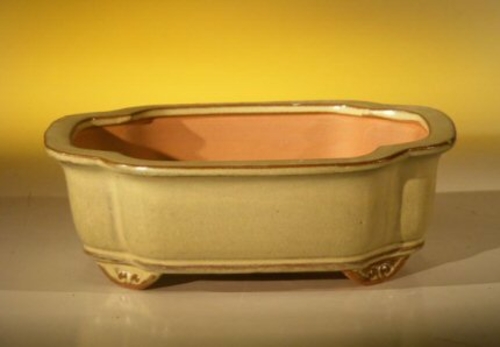 Beige Ceramic Bonsai Pot - Oval8.0" x 6.0" x 2.5"