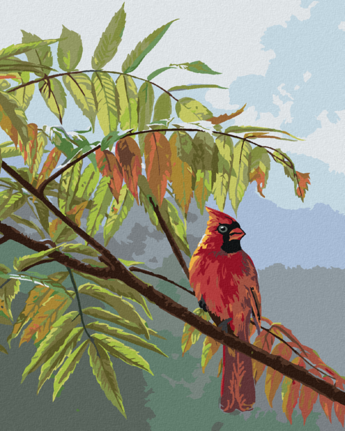 Zuty - Paint by Numbers â€“ CARDINAL BIRD ON A BRANCH AND CHANGING