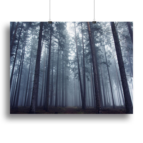 Mysterious Foggy Forest Canvas Print or Poster