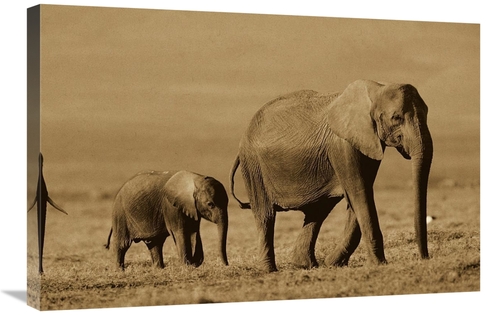 Global Gallery GCS-453681-2030-142 20 x 30 in. African Elephant Mother