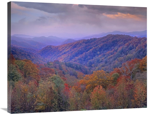 Global Gallery GCS-396816-2835-142 28 x 35 in. Autumn Deciduous Forest