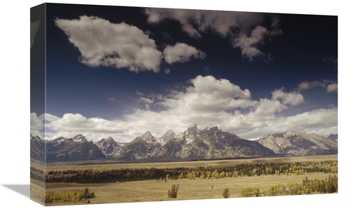 Global Gallery GCS-452837-1218-142 12 x 18 in. Teton Range, Snake 