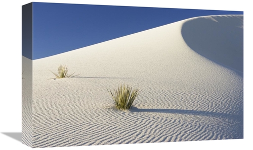 Global Gallery GCS-452614-1218-142 12 x 18 in. Yuccas in Gypsum Sand D