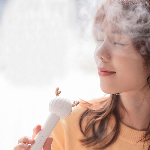 Main Universal Cute Bear Deer Air Humidifier 2 In 1 USB image