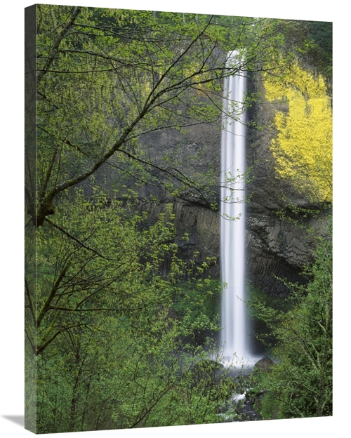 Global Gallery GCS-396512-2432-142 24 x 32 in. Latourell Falls, Co