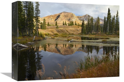 Global Gallery GCS-396496-1216-142 12 x 16 in. Ruby Range Reflected in