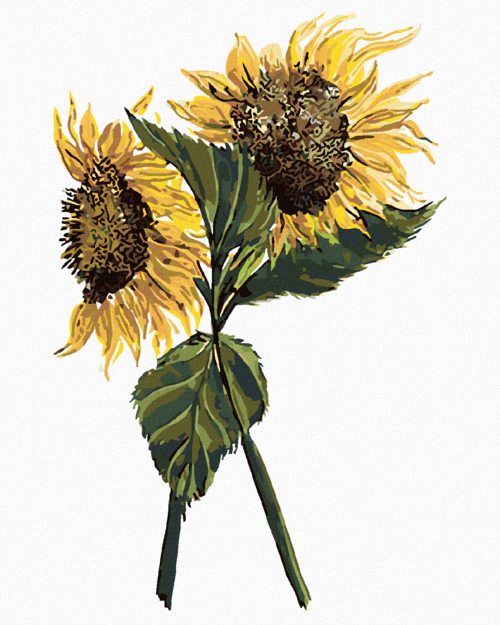 Paint by Numbers - SUNFLOWERS (ALEXANDRIA GILBERT)