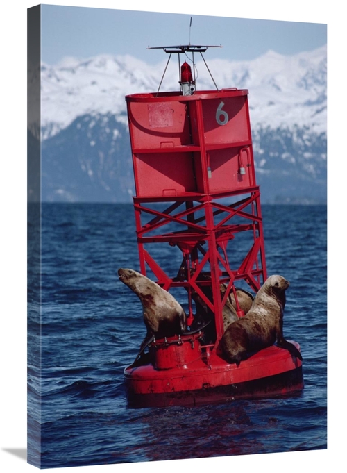 Global Gallery GCS-450643-2030-142 20 x 30 in. Oil Stained Stellers Se