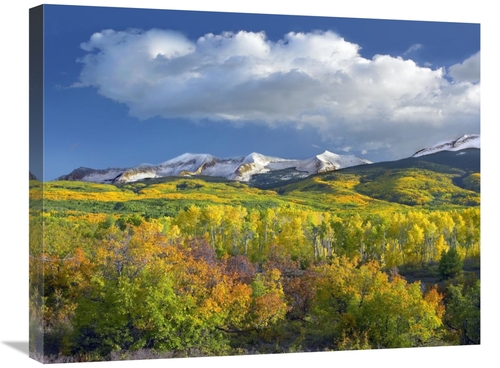 Global Gallery GCS-397099-2228-142 22 x 28 in. East Beckwith Mountain 