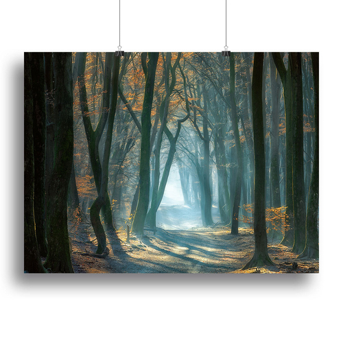 Cold Light Canvas Print or Poster